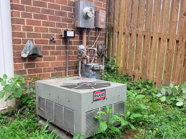 Cooling System Replacement (5)